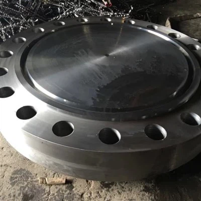 NAJBOLJA CIJENA KOVANI DUPLEKS NEHRĐAJUĆI ČELIK ASME SA182 F53 ASME B16.5 SLIJEPA PRIRUBNICA ZA INDUSTRIJU NAFTE I Plina