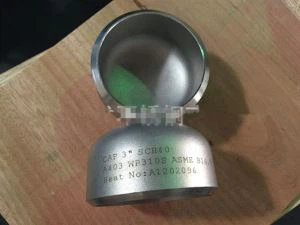 Nehrđajući čelik ASTM A 403  WP 321 / WP 347 / WP 316 Ti / WP 310 S čepom za zavarivanje