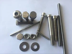 Kina je vrhunska kvaliteta DIN934 W.Nr.2.4819 Hastelloy C276 Alloy C276 Hex Nut na lageru